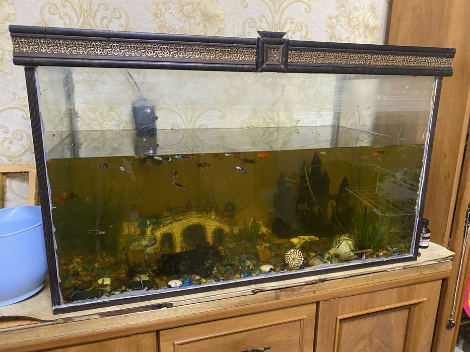 Продам аквариум 200 литров
