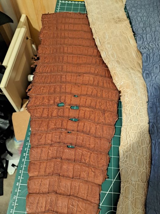 Piele exotica, crocodil si piton