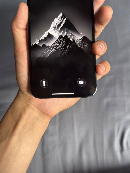 iPhone 13pro max 100% 256gb