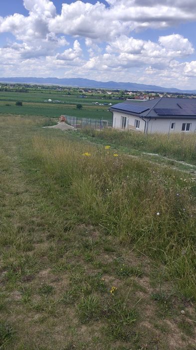 Teren Bod de vânzare