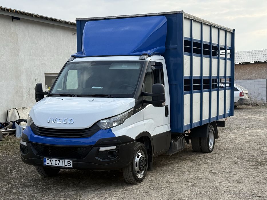 Iveco Daily cub transport animale vii