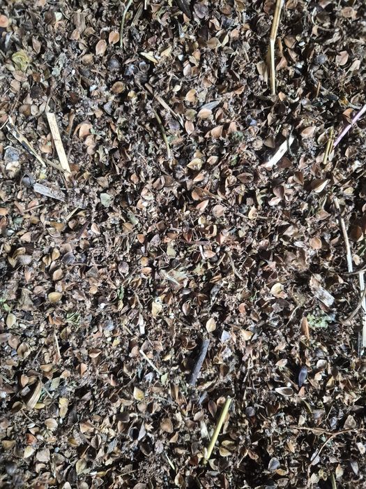 Отхот Грешка 1000 тенге мешок