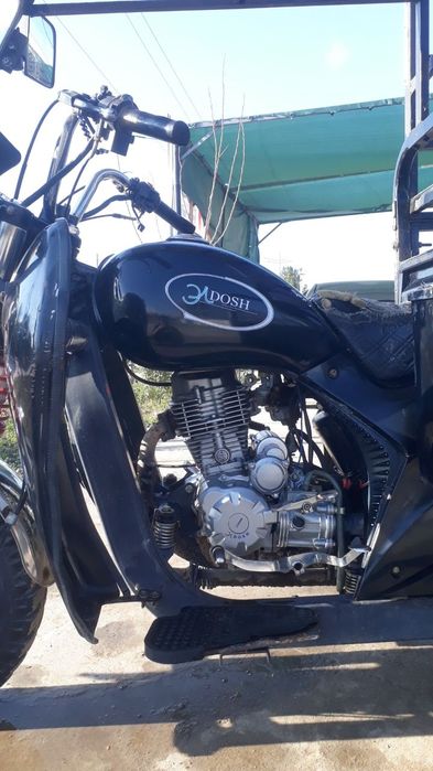 ELDOSH 2OO cs Muravey