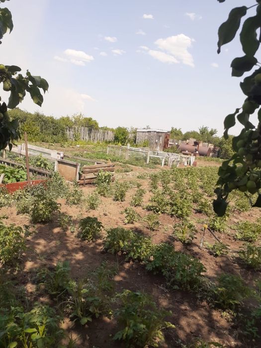 Прадам дачу общество Союз