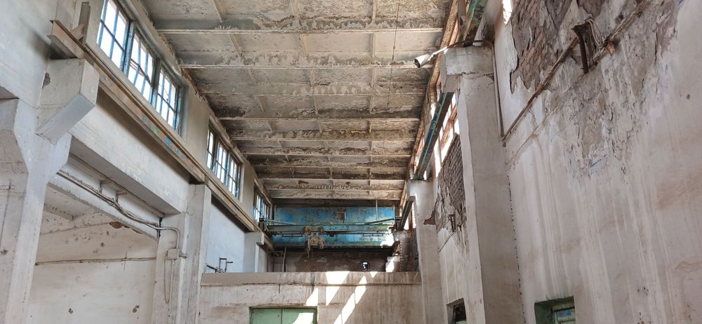 Telfer shveler duxtavr