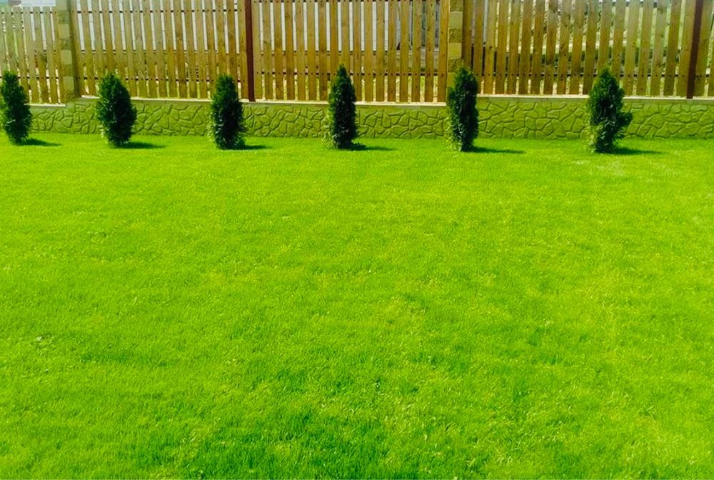 Газон Газон Газон