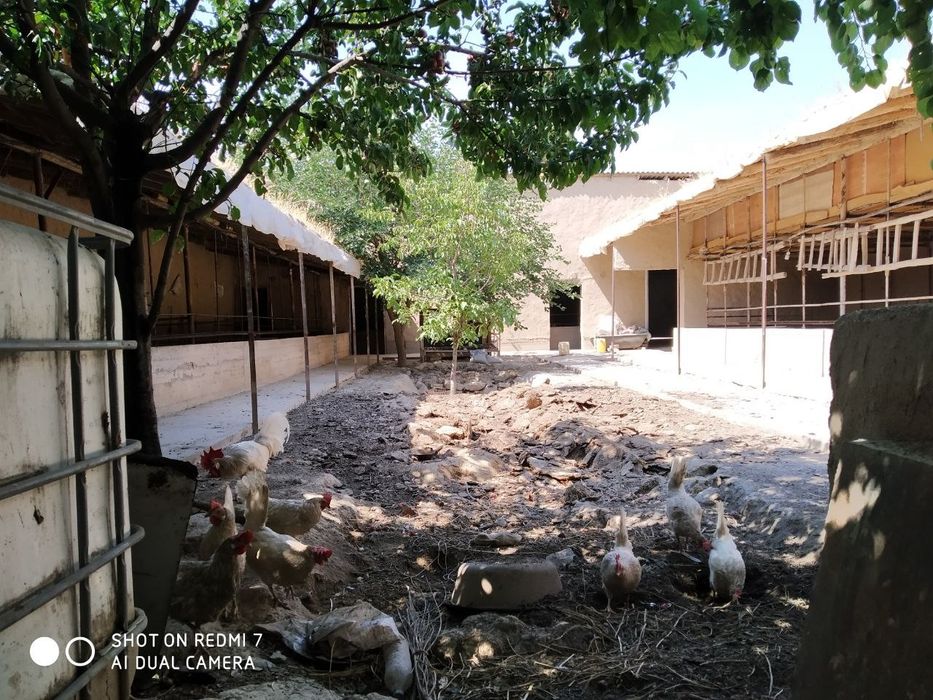 Аренда жой ишлаб чиқариш учун