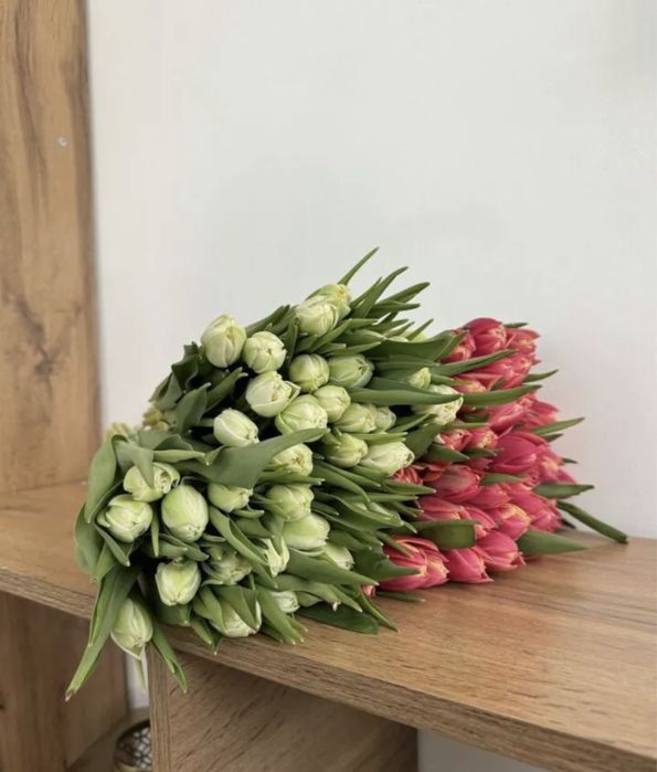 Астана тюльпаны цветы