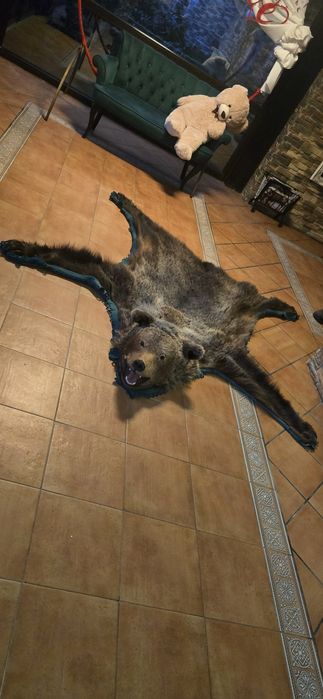 Vand Trofeu Urs brun