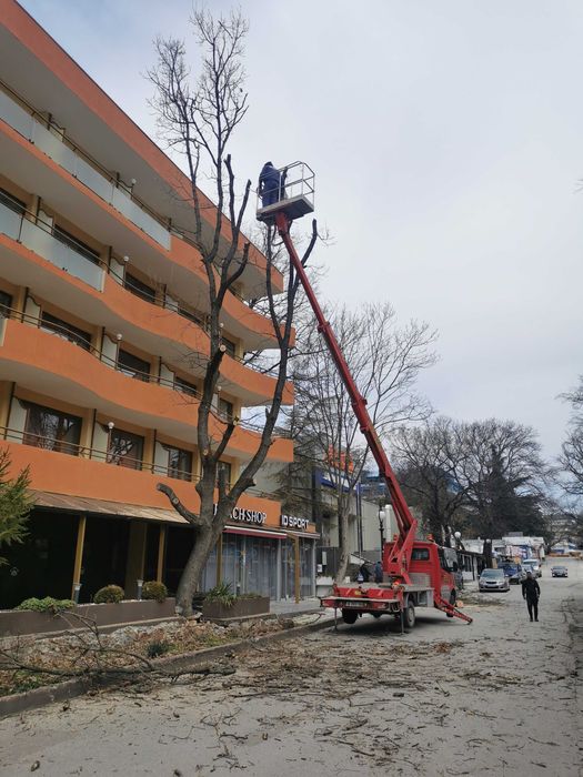 Рязане на опасни дървета Варна