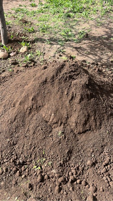 Чернозём так же доставка.