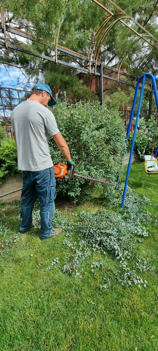 Услуги профессиональных  садовников!