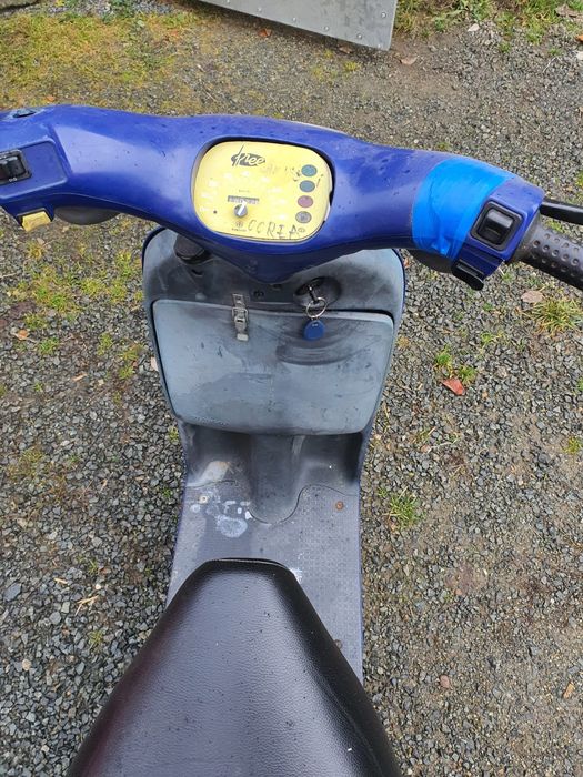 Piaggio free 50cmc