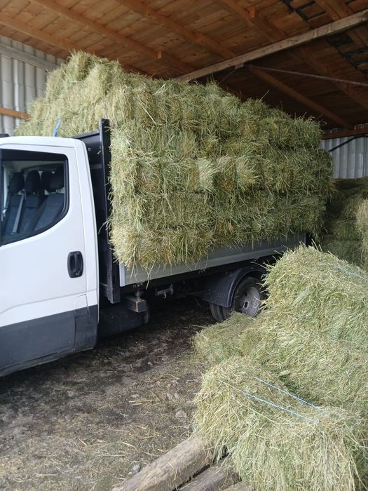 Baloți lucernă .
