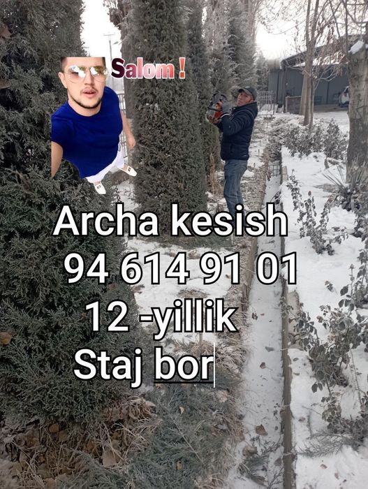 Daraht.kesish.Bogbon.hizmati...20.йилик.