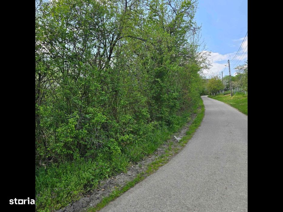 Teren intravilan cu nr.de casă.