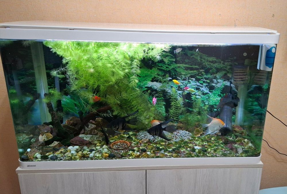 Продаётся аквариум