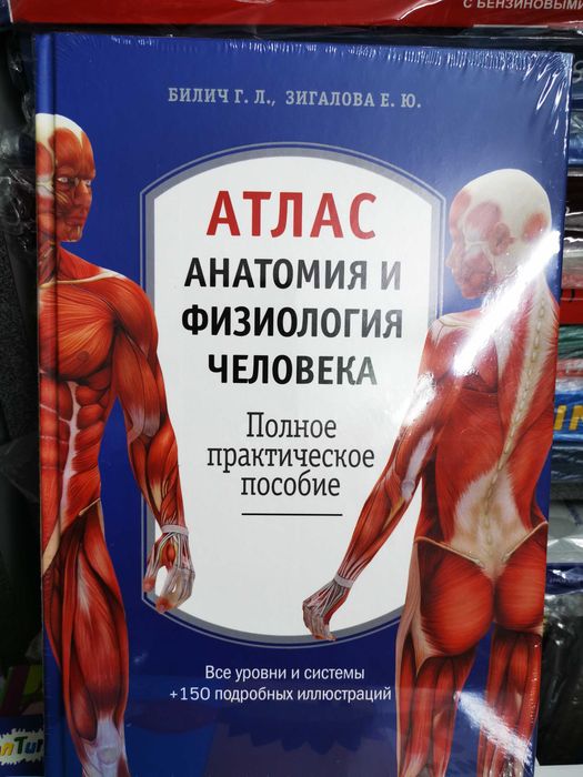 Атлас Анатомия человека