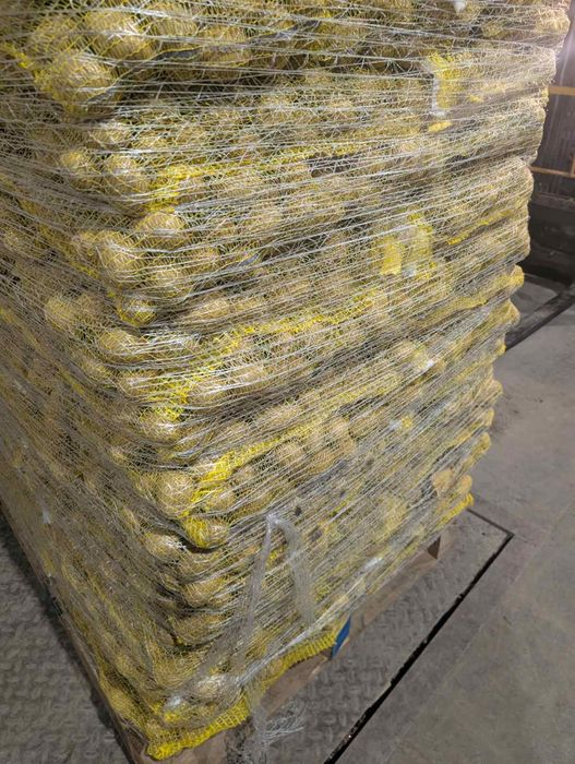 Картофи за консумация на едро