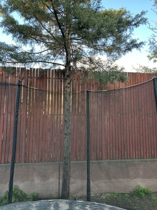 Trambulina copii si adulti cu diametrul  de 300cm