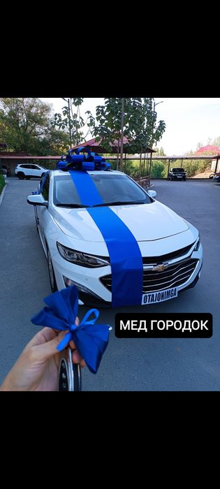 Avtobantik moshinaga, бант на машину, bantik lenta Мед городок