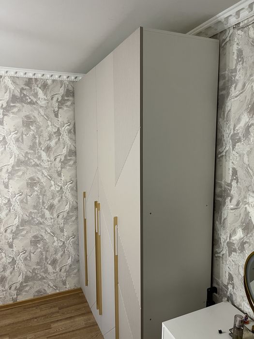 Шкаф распашной 160×240×52 см