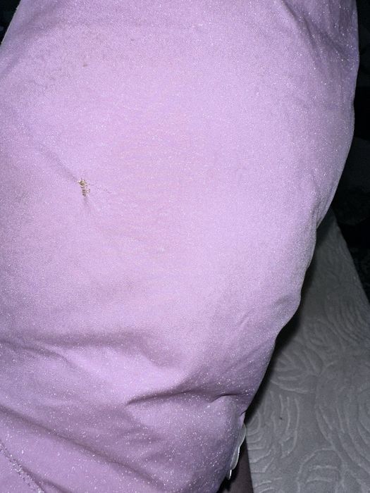 Куртка для девочки Lenne