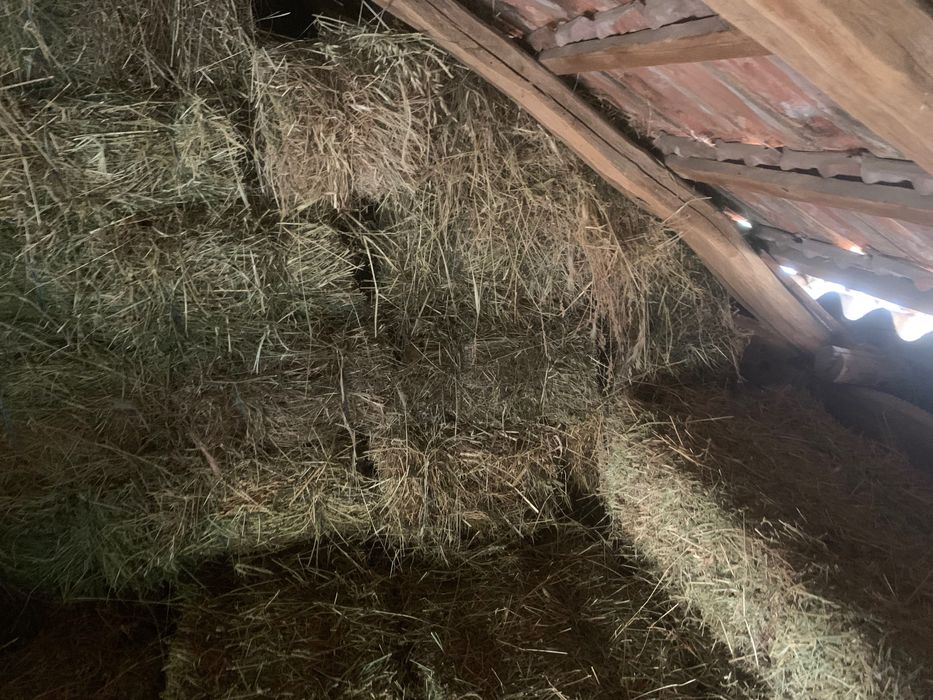 Vând Baloți de Lucernă