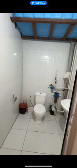 Student qizlarga ijara