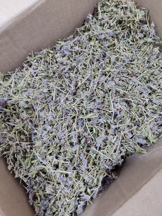 Продам  чабрец .