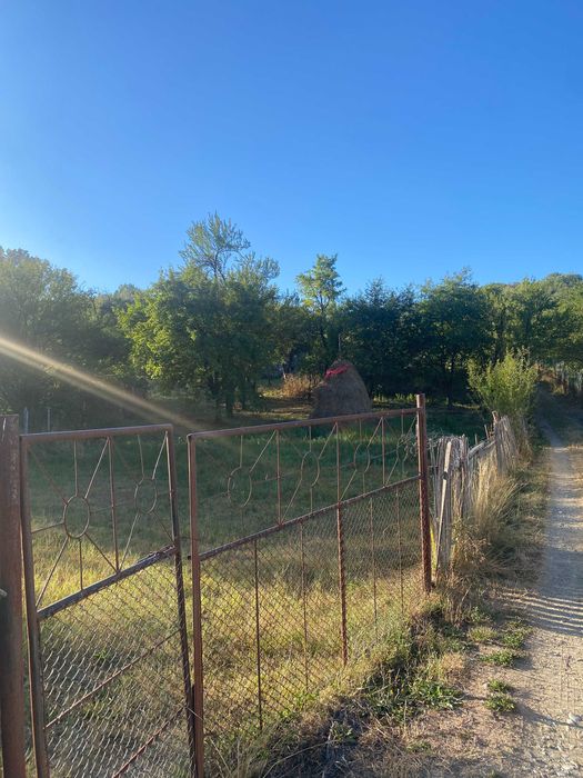 vand casa cu gradina