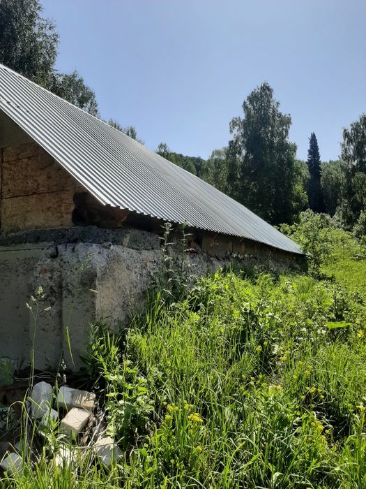 Продам пасеку в .