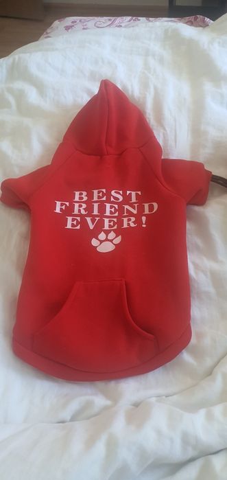 Hăinuțe catel noua.