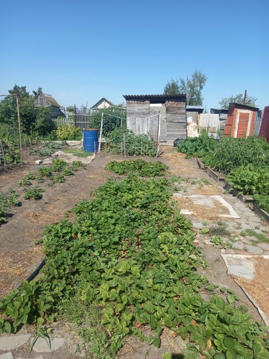 Продам дачу в с/о Огонёк.