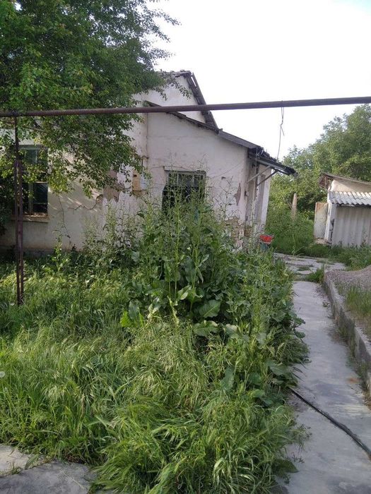 Янгибазар , участок 5,8 соток