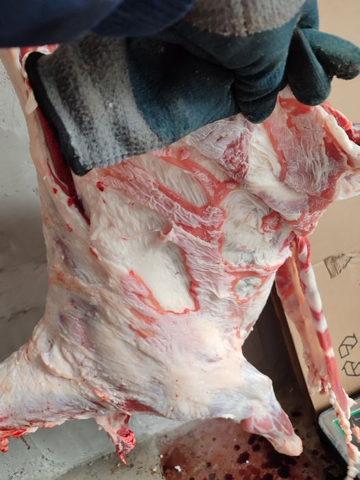 Продам мясо баранов