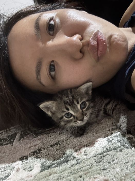 Котенок передаю в бодрые руки