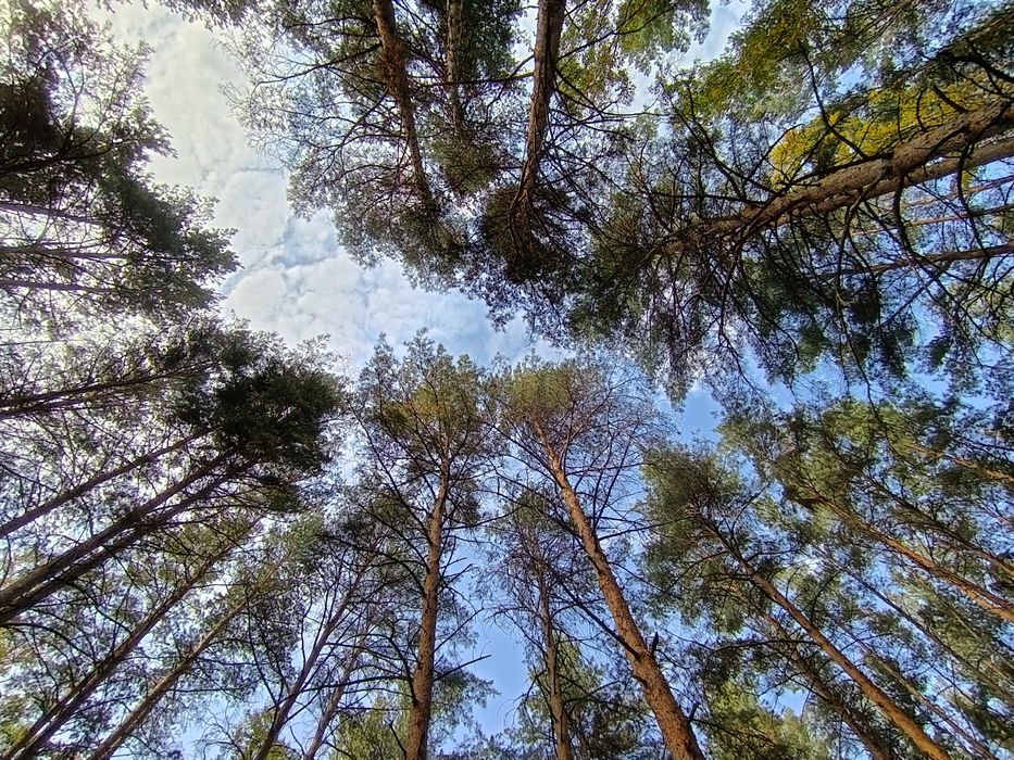 Продаю Honor 400 Lite новый!