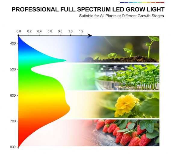 Настолна LED лампа за отглеждане на растения GroCruiser с 6 глави