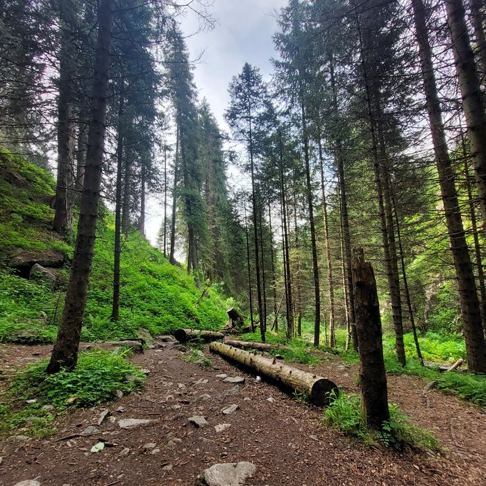 Горный гид,походы в горы