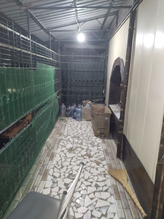 Ijaraga sheriklikka odam olamiz akuratniy turishga faqat