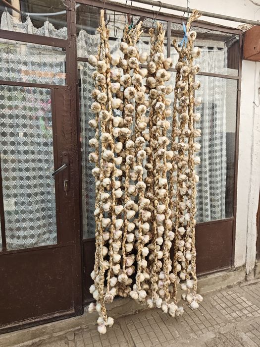 Продавам чесън на сплит