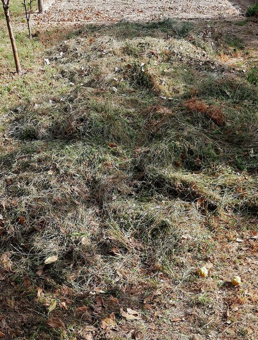 Жонышка Сатылады