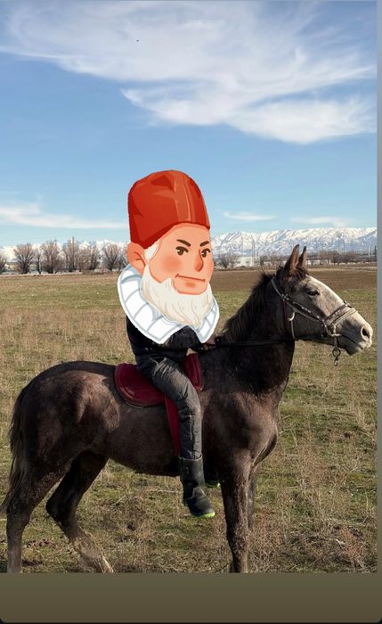 Үш жасар жылқы сатылады саудасы бар