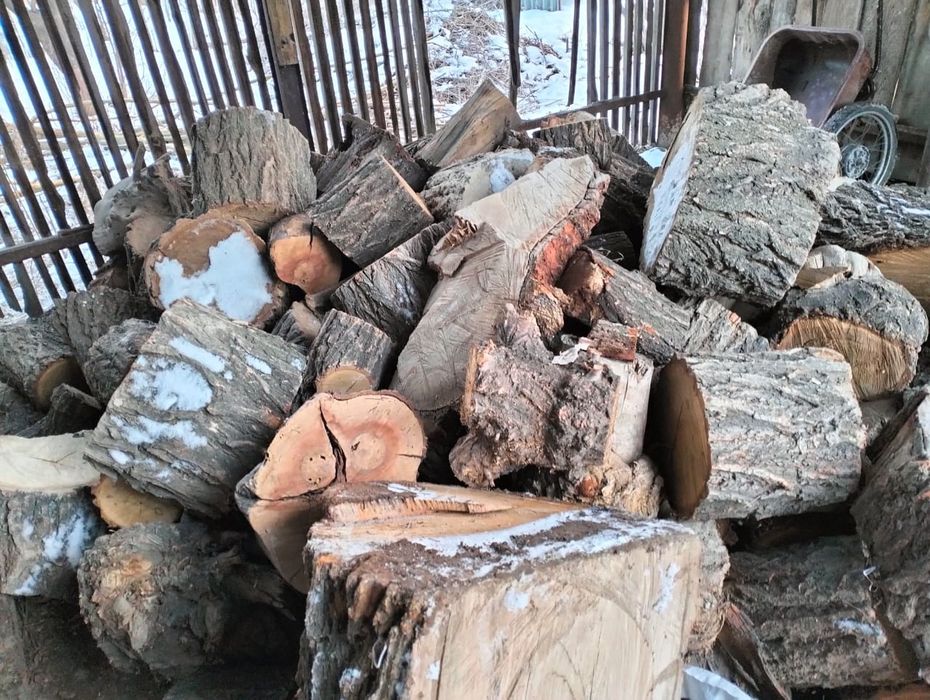 Кесілген төңкелер сатылады