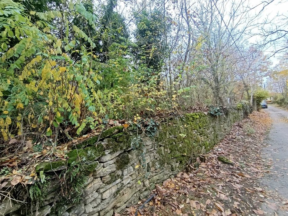 парцел в регулация