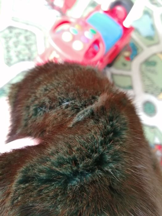 Шапка из цельной норки