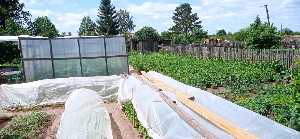 Прода м дачу сад Южной