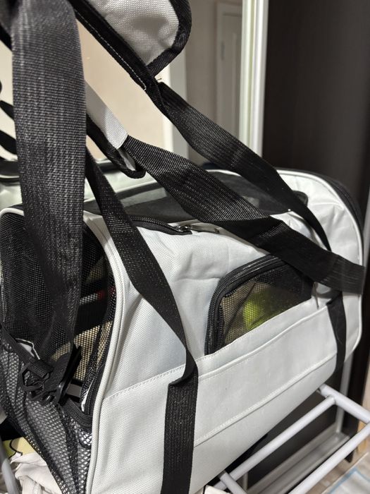 Щенок русского спаниеля