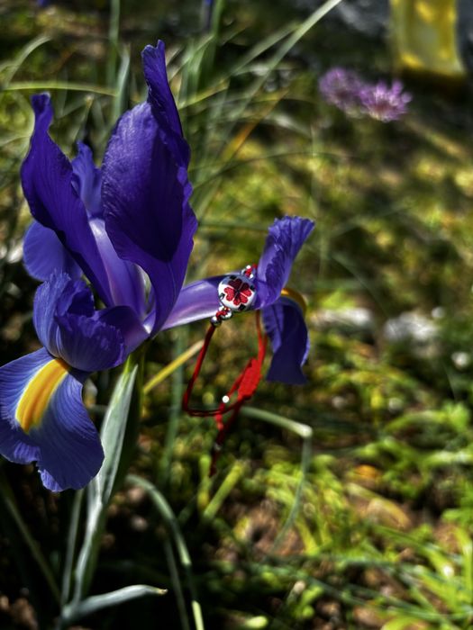 Червен Конец гривна различни елементи